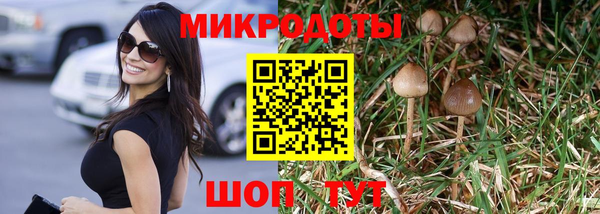 Йошкар-Ола  как найти наркотики  Вход с VPN  Псилоцибиновые грибы Psilocybine cubensis 